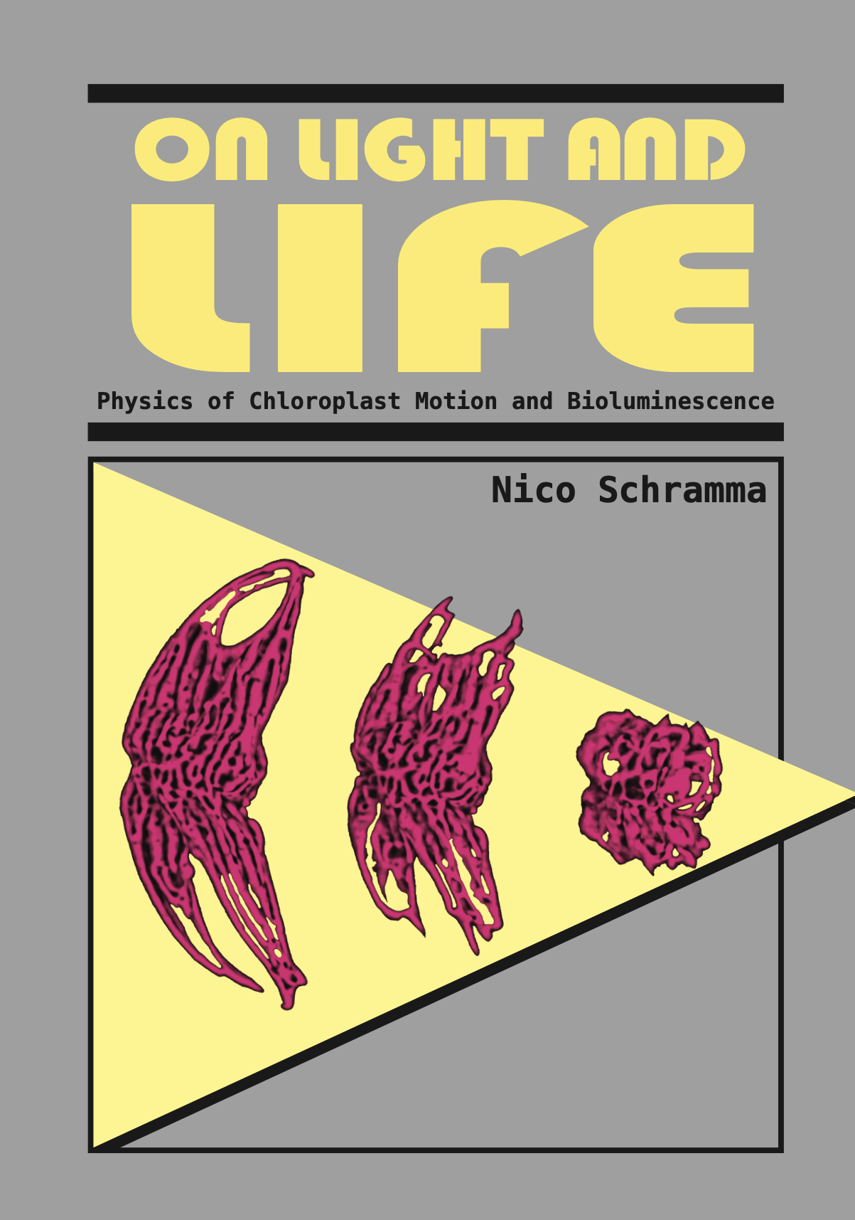 Cover of my thesis
